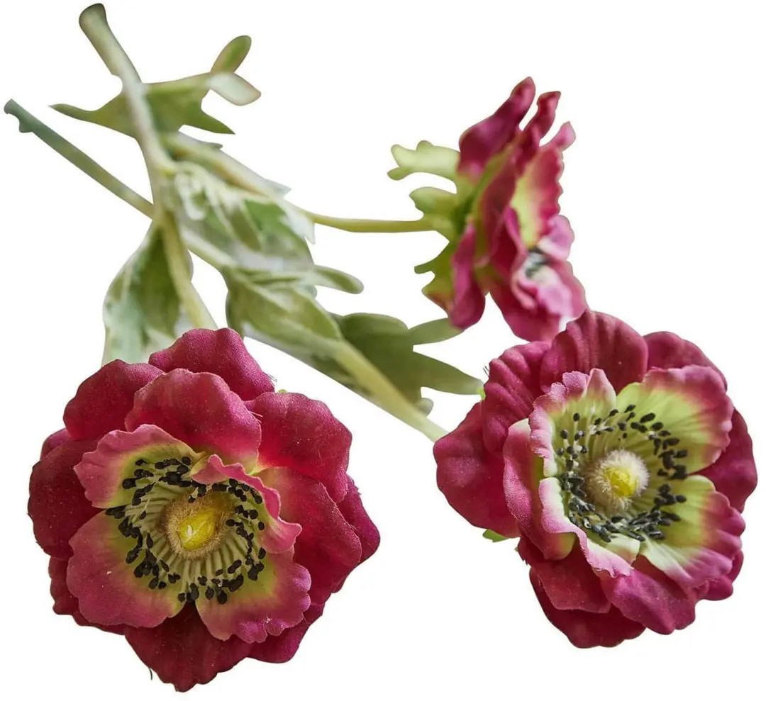 Loberon Inara Sierbloemen