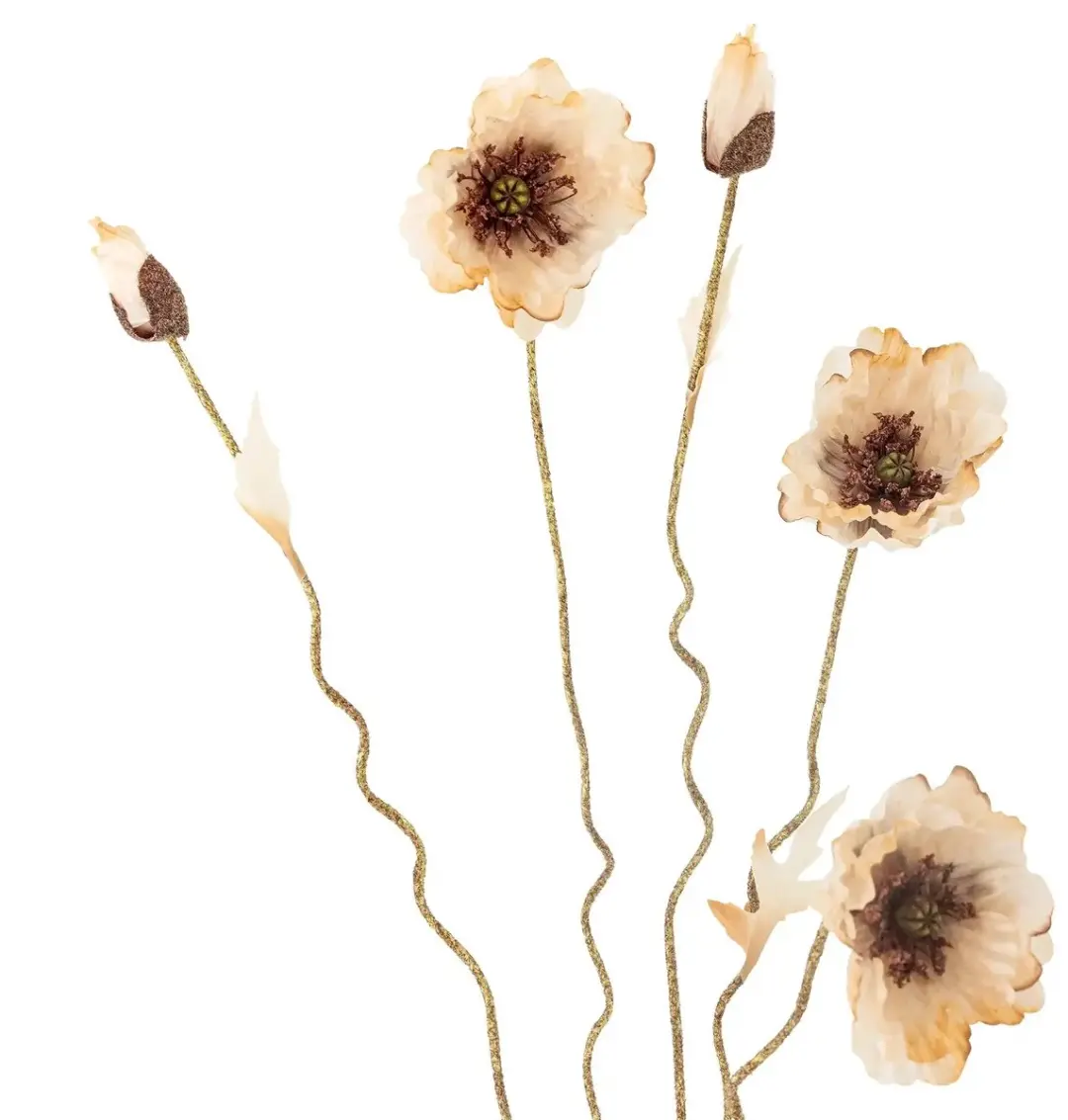 Poppy Stem Nature