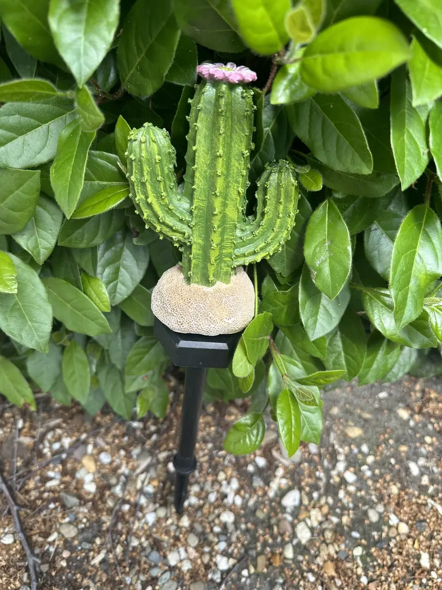 Polyresin solarlamp op tuinsteker " Cactus "