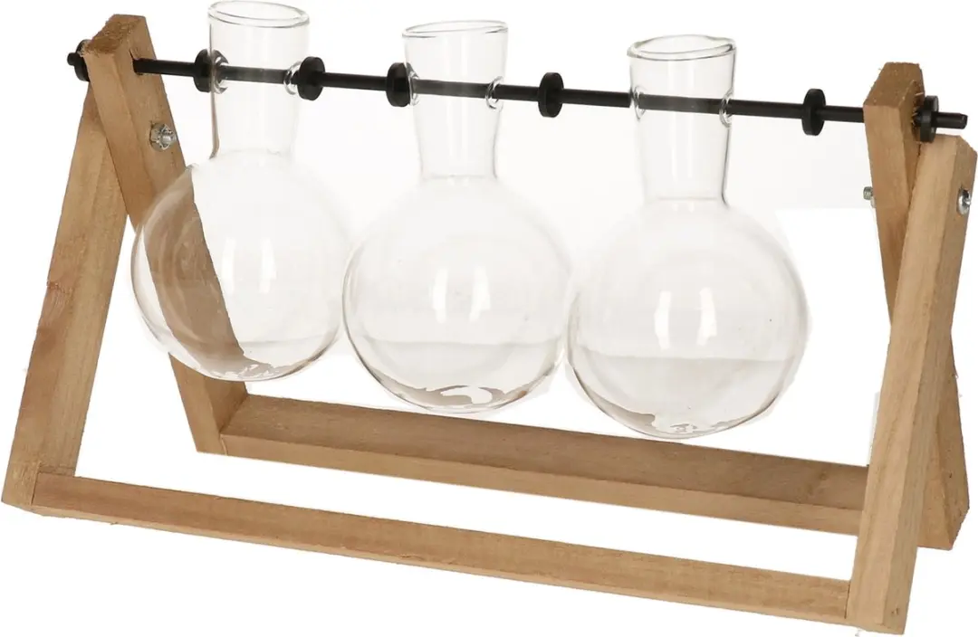 Esschert Design Stekvaasjes in houder