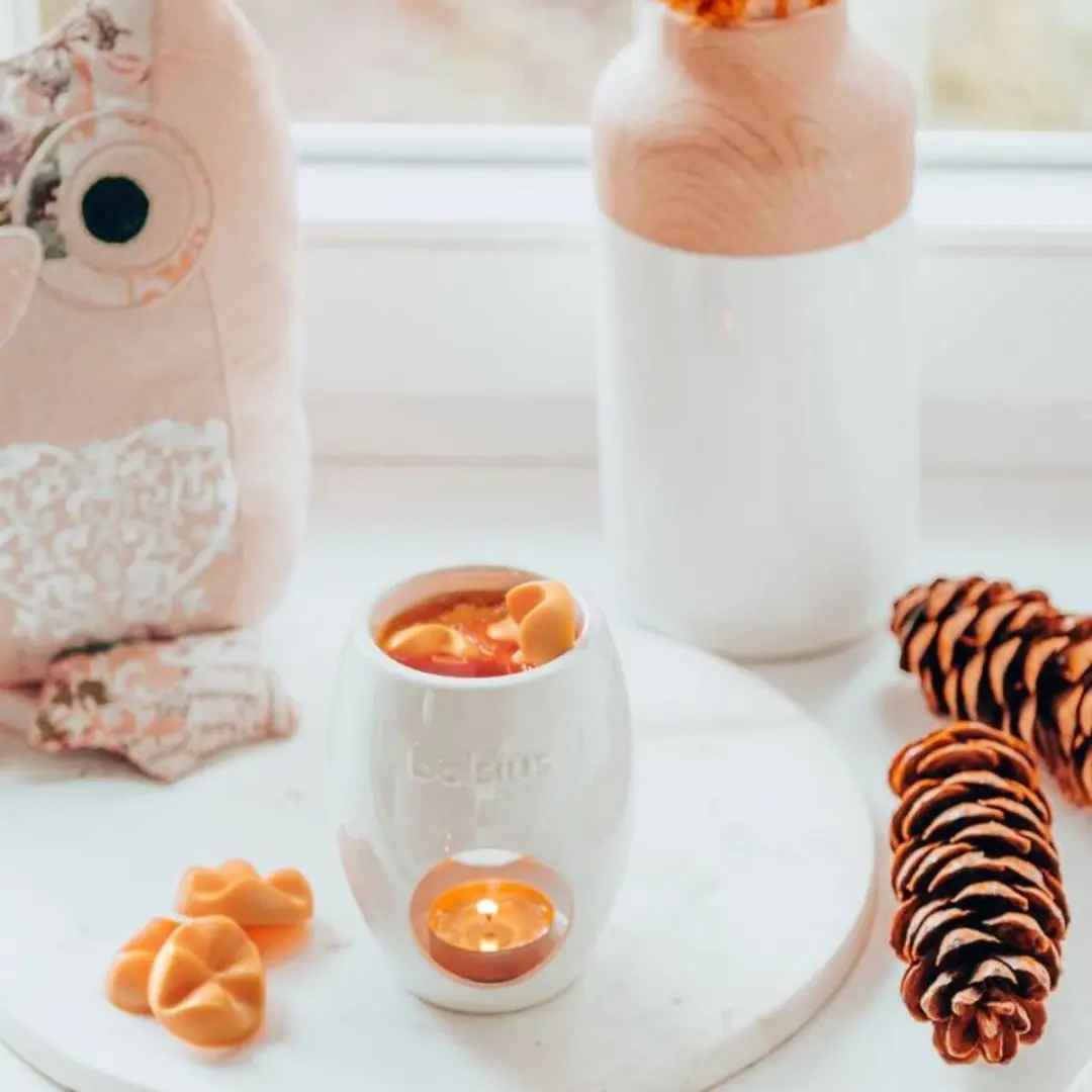 Bolsius True Scents Waxmelts Oud Wood - 6 Stuks - afbeelding 3 van 3