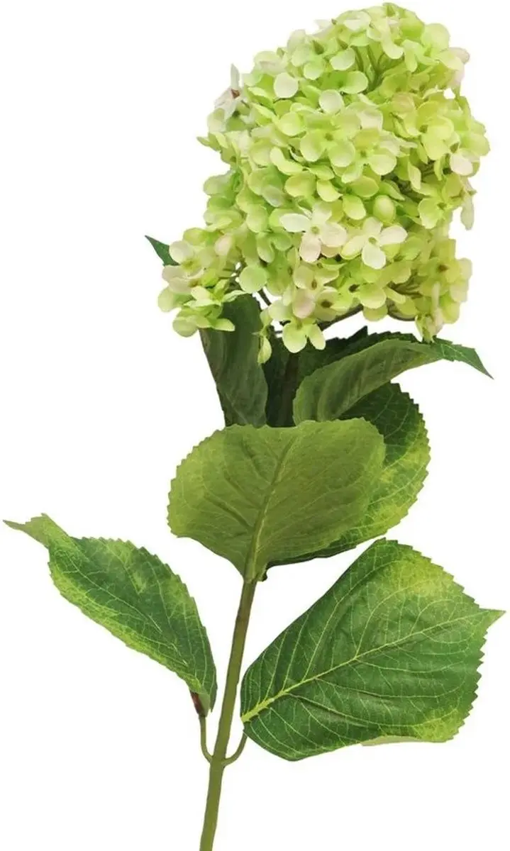 Bellatio Design Kunstbloem Pluimhortensia/hydrangea XL