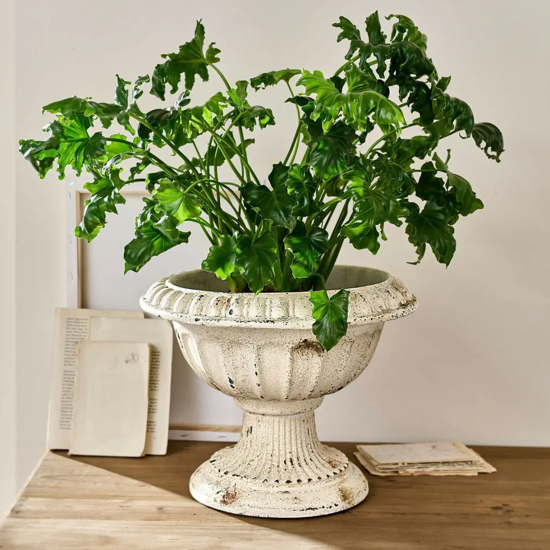 Loberon Amfora Islene Crème 36cm - afbeelding 4 van 6