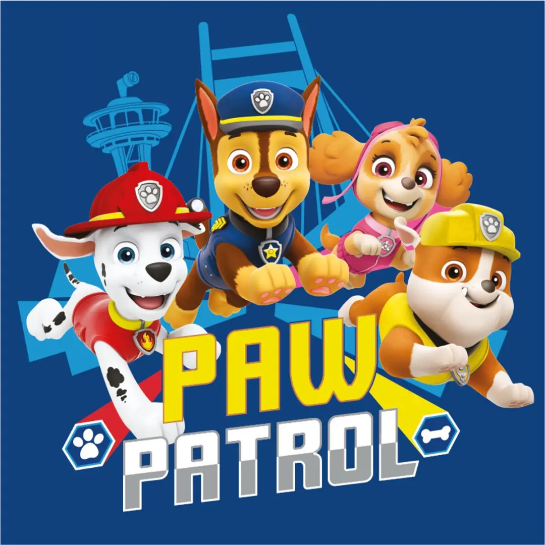 Paw Patrol Team handdoek, gezichtshanddoek, handdoek 30x30cm