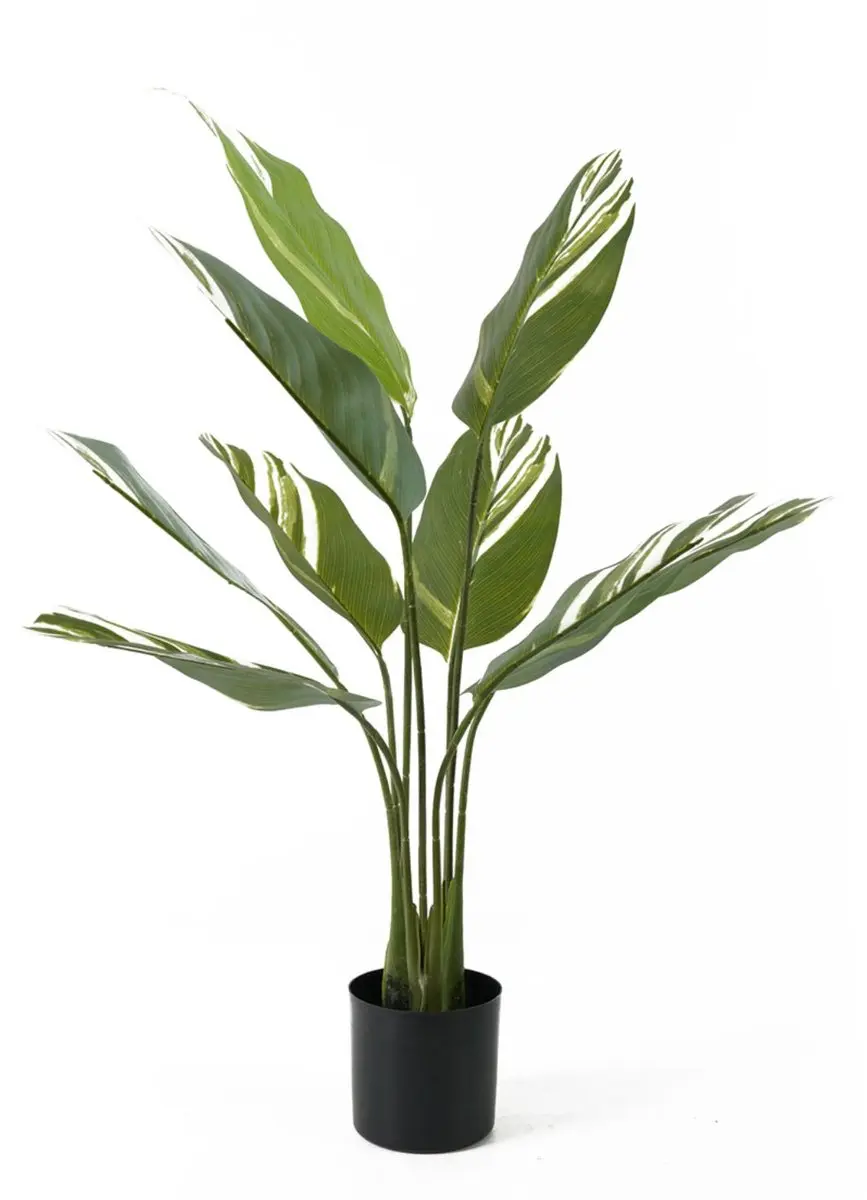 Present Time Calathea Kunstplant