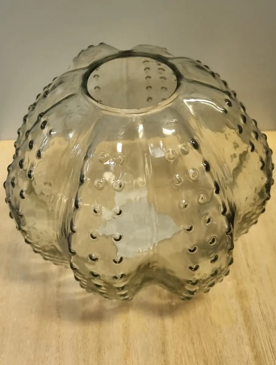Cactus vaasje L