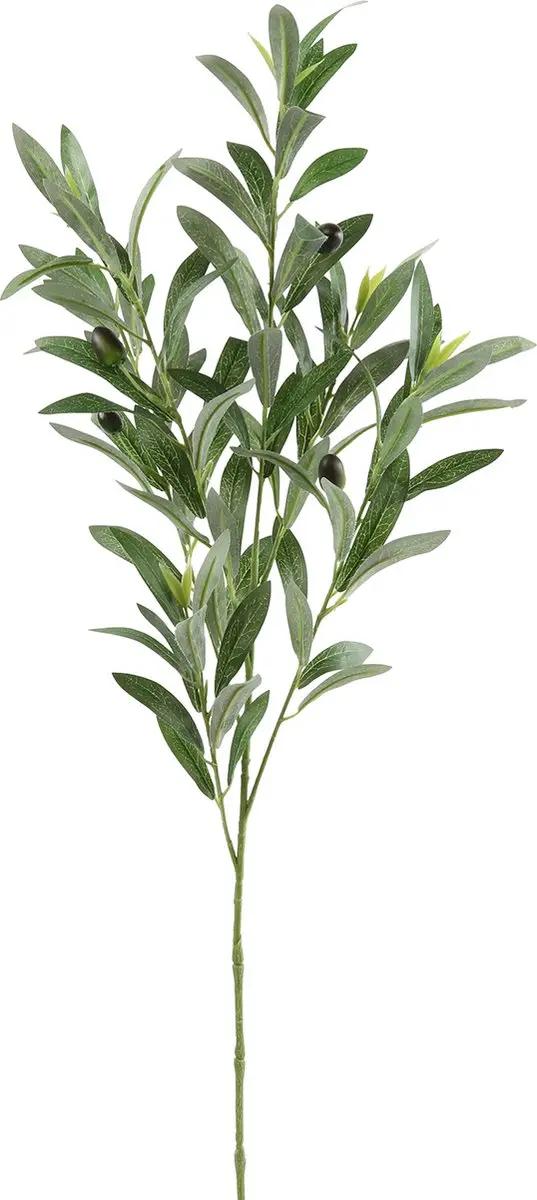 Countryfield Olijf Tak Olea Groen 90cm