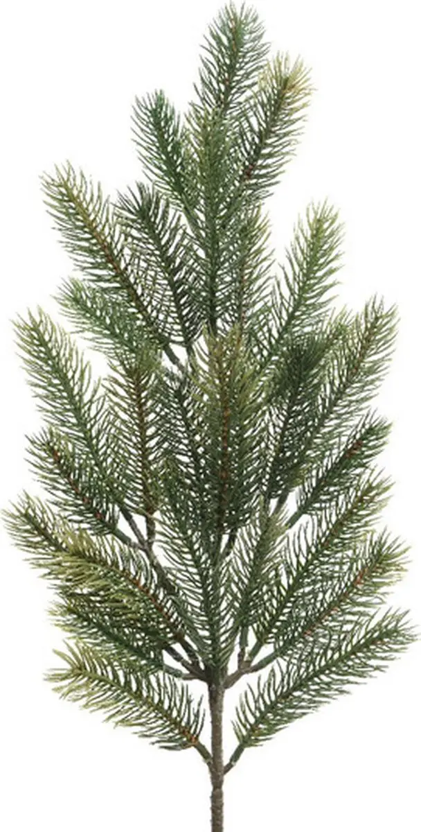 Decoris kersttak