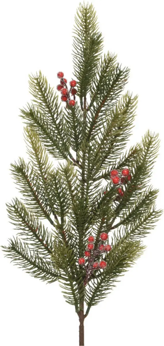 Decoris kersttak/dennentak