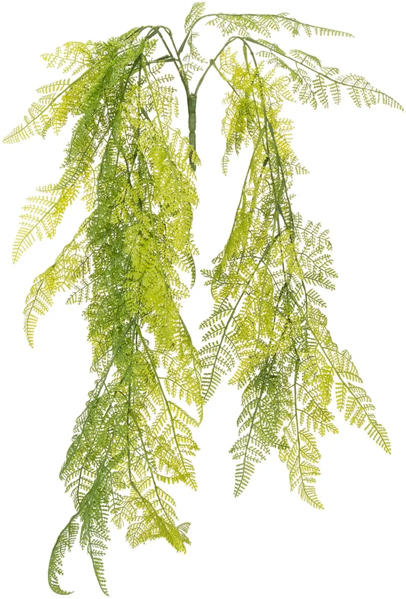 Kunstmatige hangplant in de vorm van een varen, een decoratieve blikva