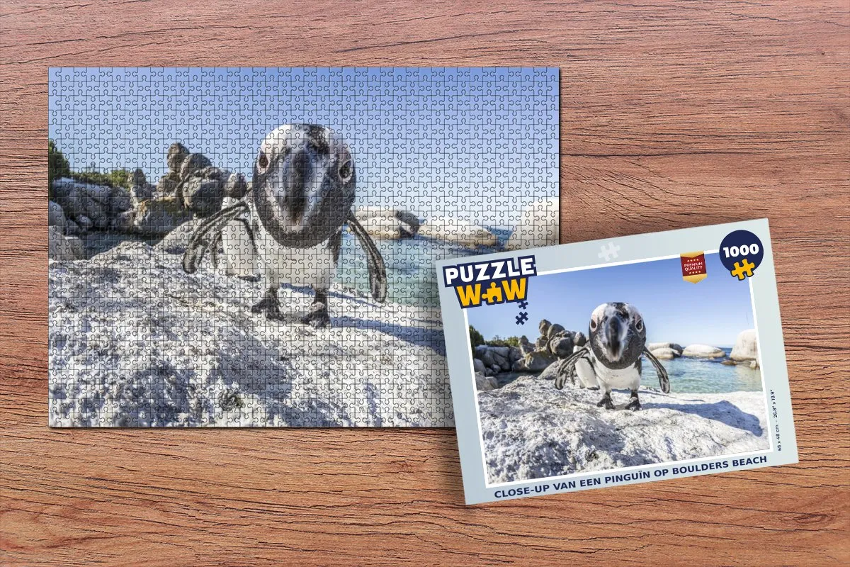 PuzzleWow Pinguïn op Boulders Beach Legpuzzel 1000 Stuks - Multicolor