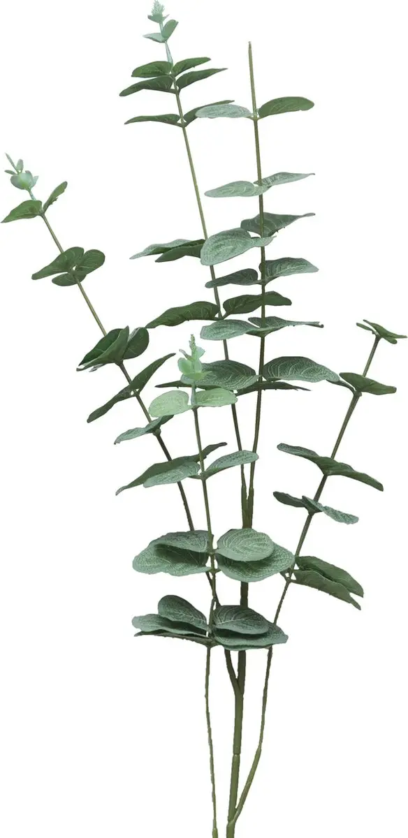 Bellatio Design Kunstplant takken Eucalyptus Cinera