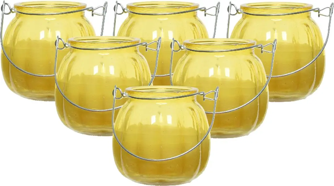 Decoris Citronella kaars voor buiten