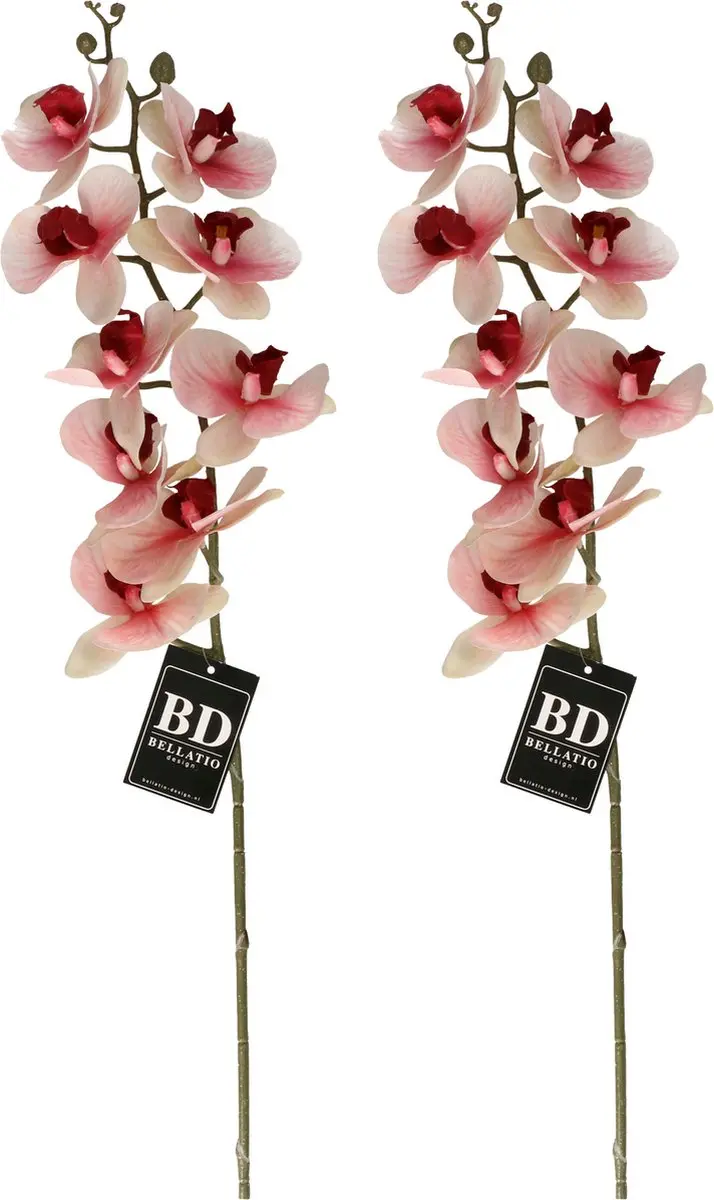 Bellatio Design Kunstbloem Orchidee Bora