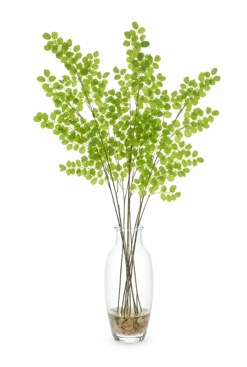 Bellatio Design Kunsttak / kunstbloem Button Leaf