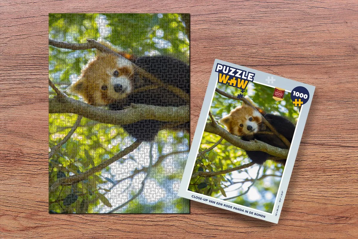 PuzzleWow Puzzel Panda Legpuzzel 1000 Stuks - Multicolor