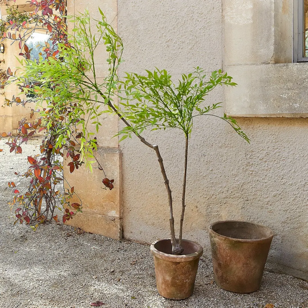 Loberon Avenelle Decoratieve Potplant - Groen - afbeelding 4 van 6