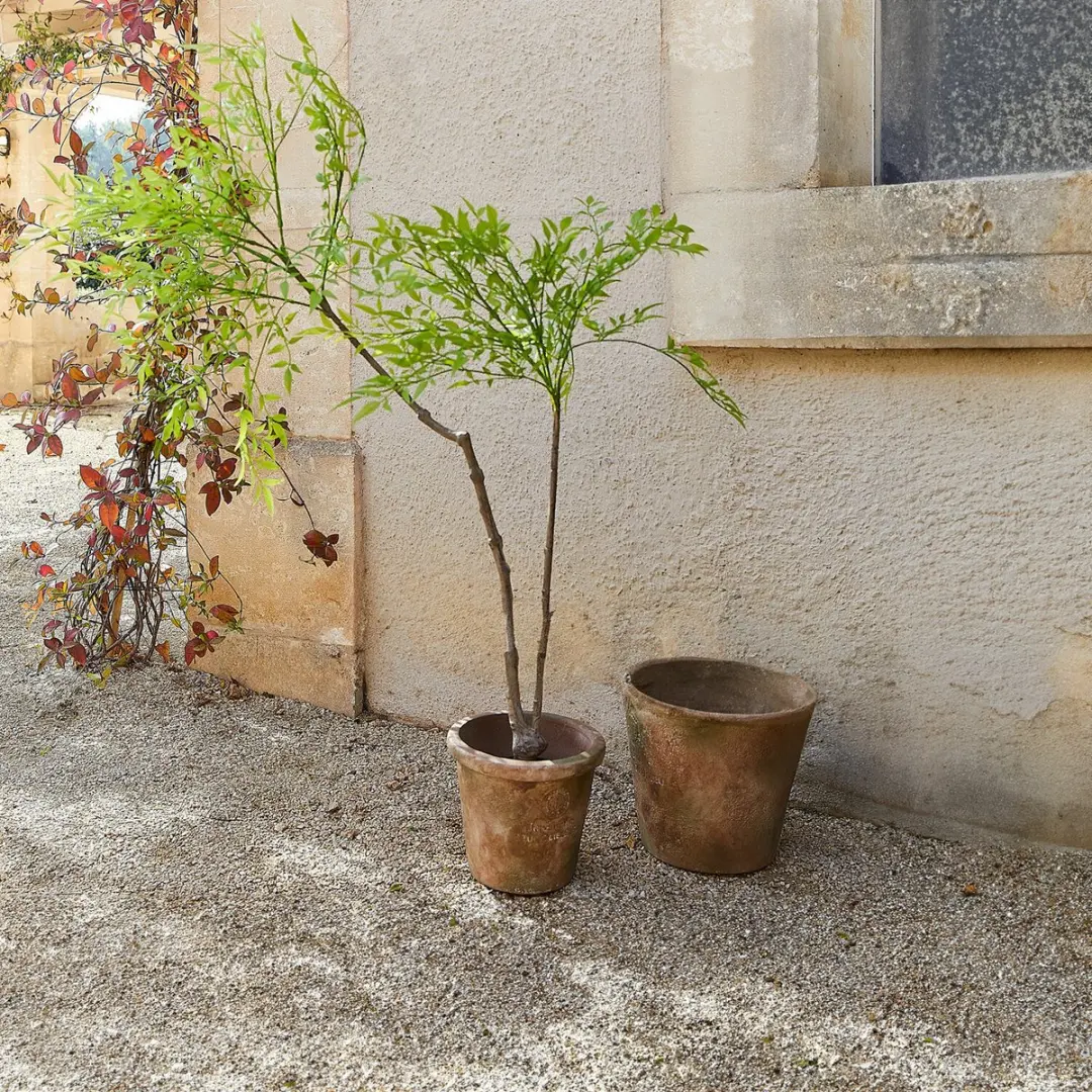 Loberon Avenelle Decoratieve Potplant - Groen - afbeelding 2 van 6