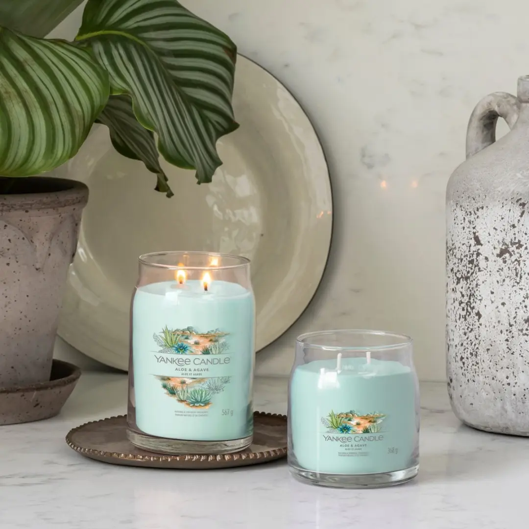 Yankee Candle Aloe & Agave Medium Geurkaars - afbeelding 3 van 4