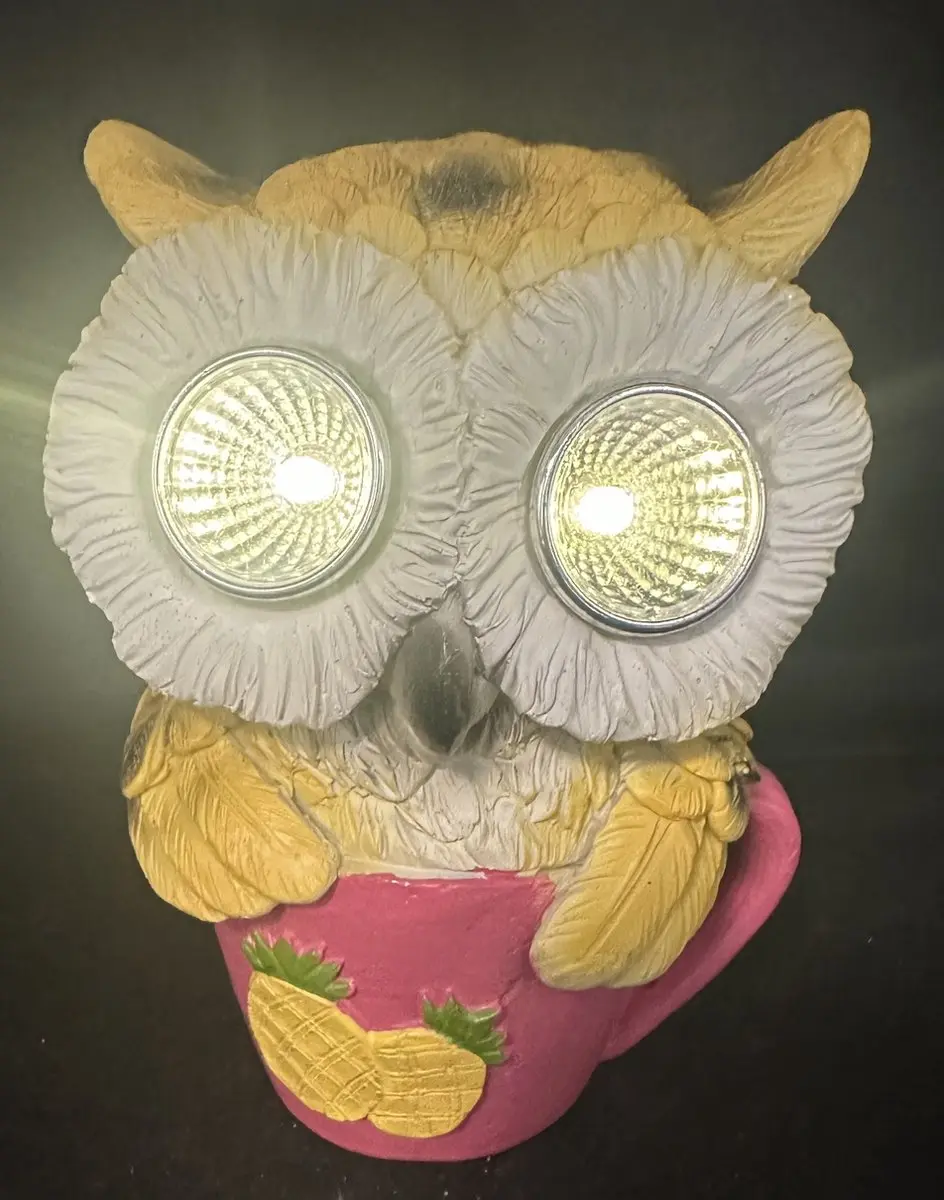 Polyresin solarlamp "uil in kop met ananassen"