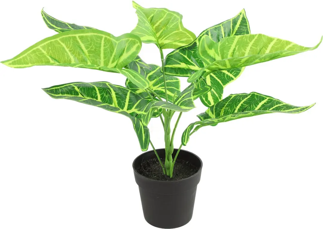 Countryfield Kunstplant Alocasia plant in bloempot