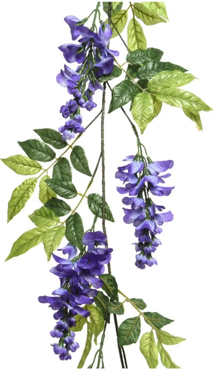 Decoris Plantenslinger Blauwe Regen 150cm