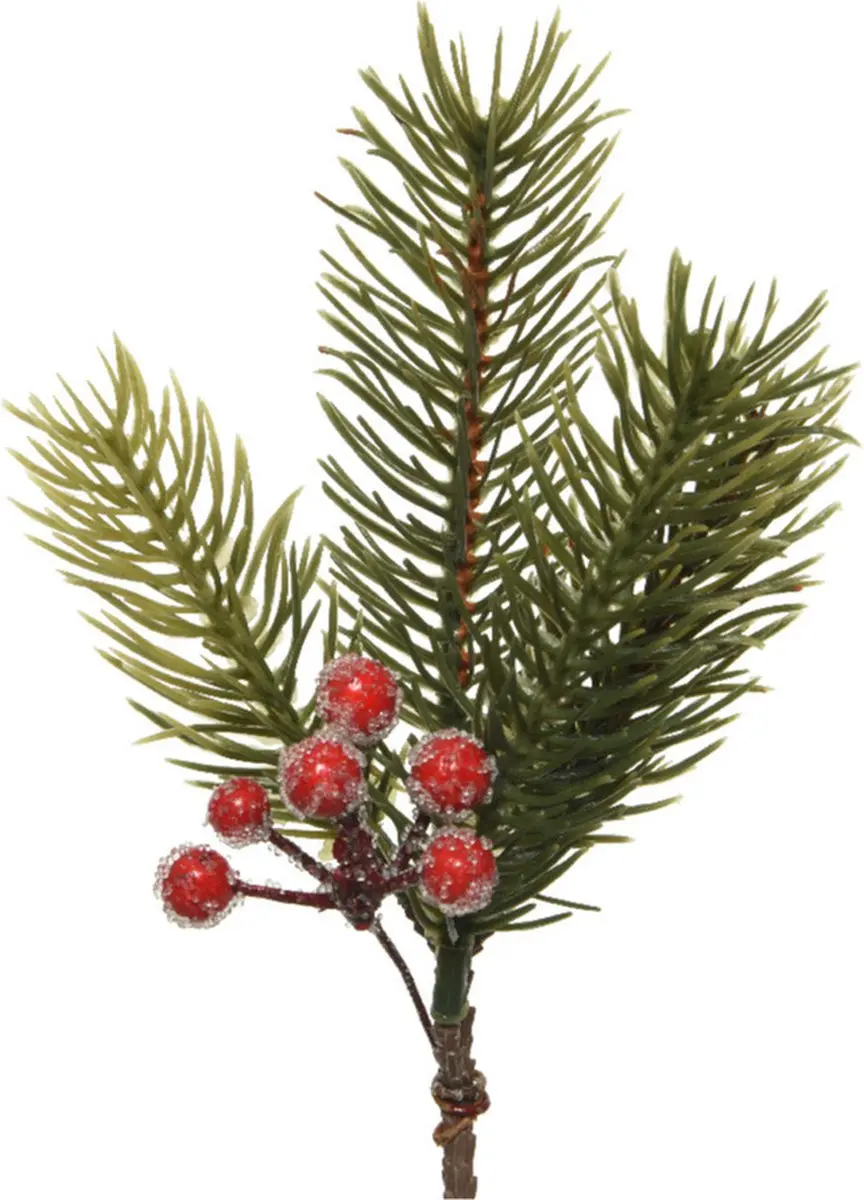 Decoris kersttak/dennentak