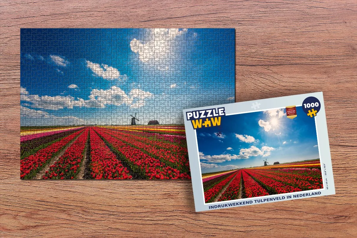 PuzzleWow Legpuzzel 1000 Stuks Tulpenveld Multicolor