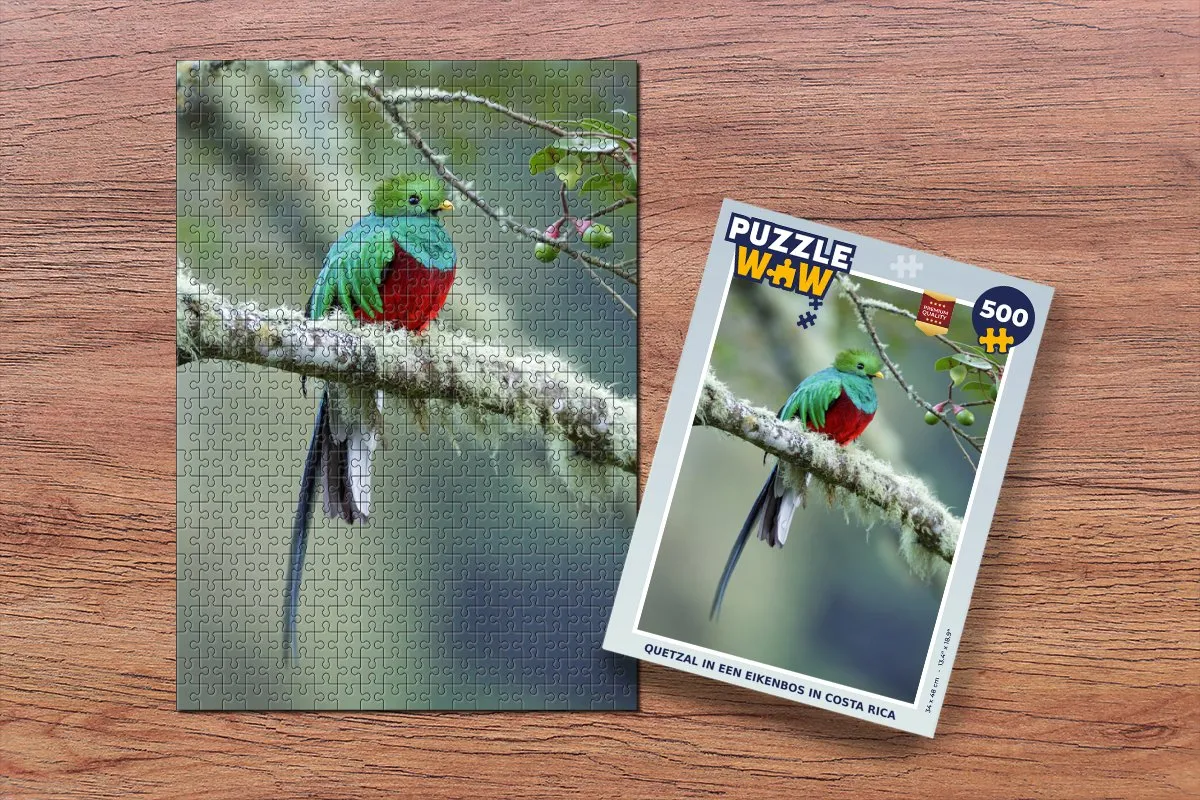 PuzzleWow Quetzal Costa Rica Legpuzzel 500 Stuks - Multicolor