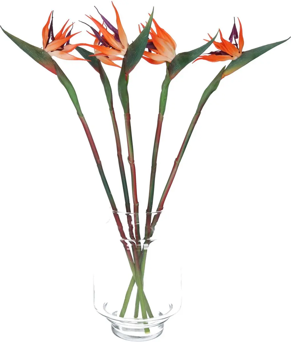 Bellatio Design Kunstbloem Strelitzia