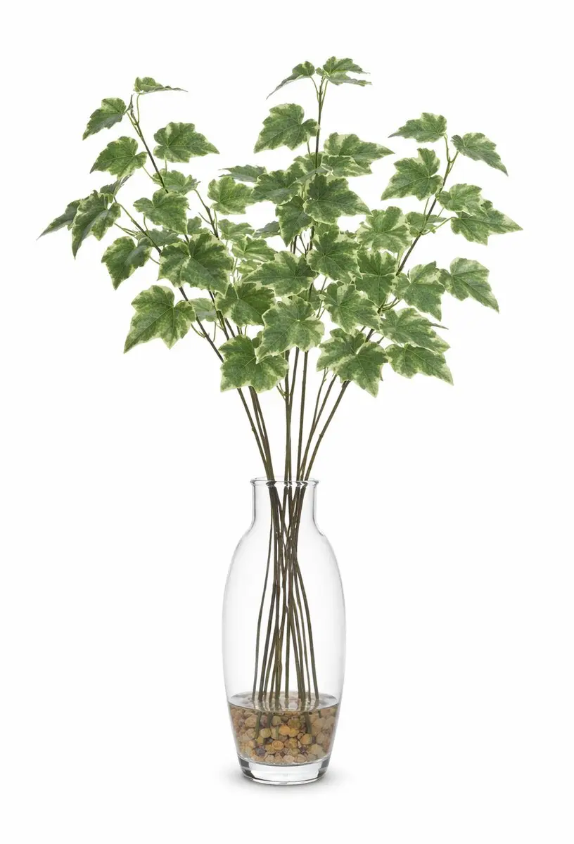 Bellatio Design Kunsttak / kunstbloem Hedera - 5x - 55 cm - lichtgroen - boeket opvulling bladlichtgroen