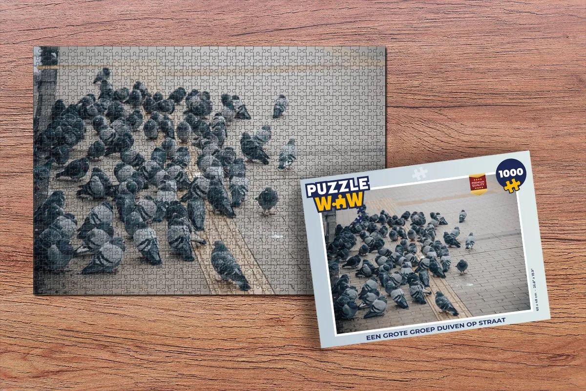 PuzzleWow Legpuzzel 1000 Stuks Multicolor