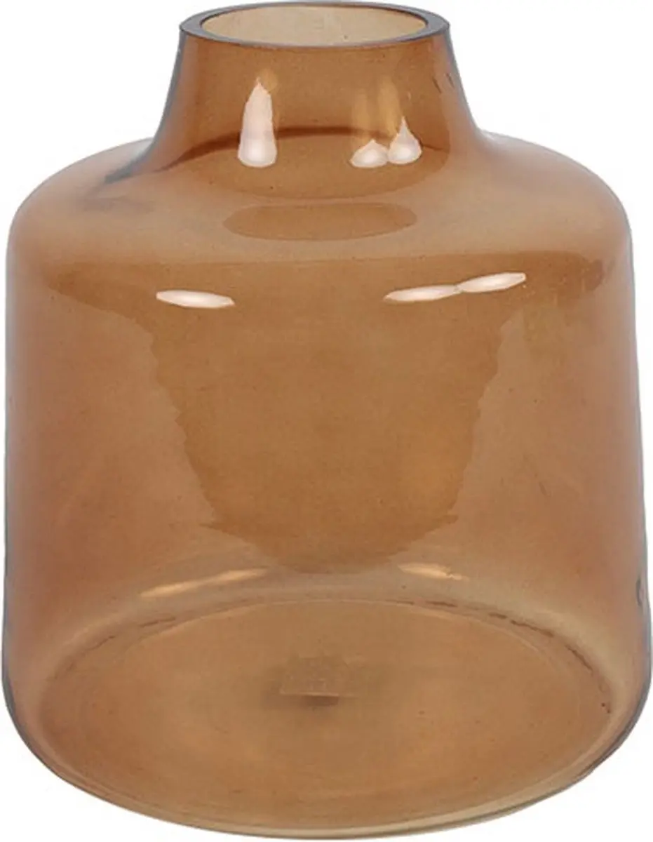 Fles buikig ro Jolina bruin