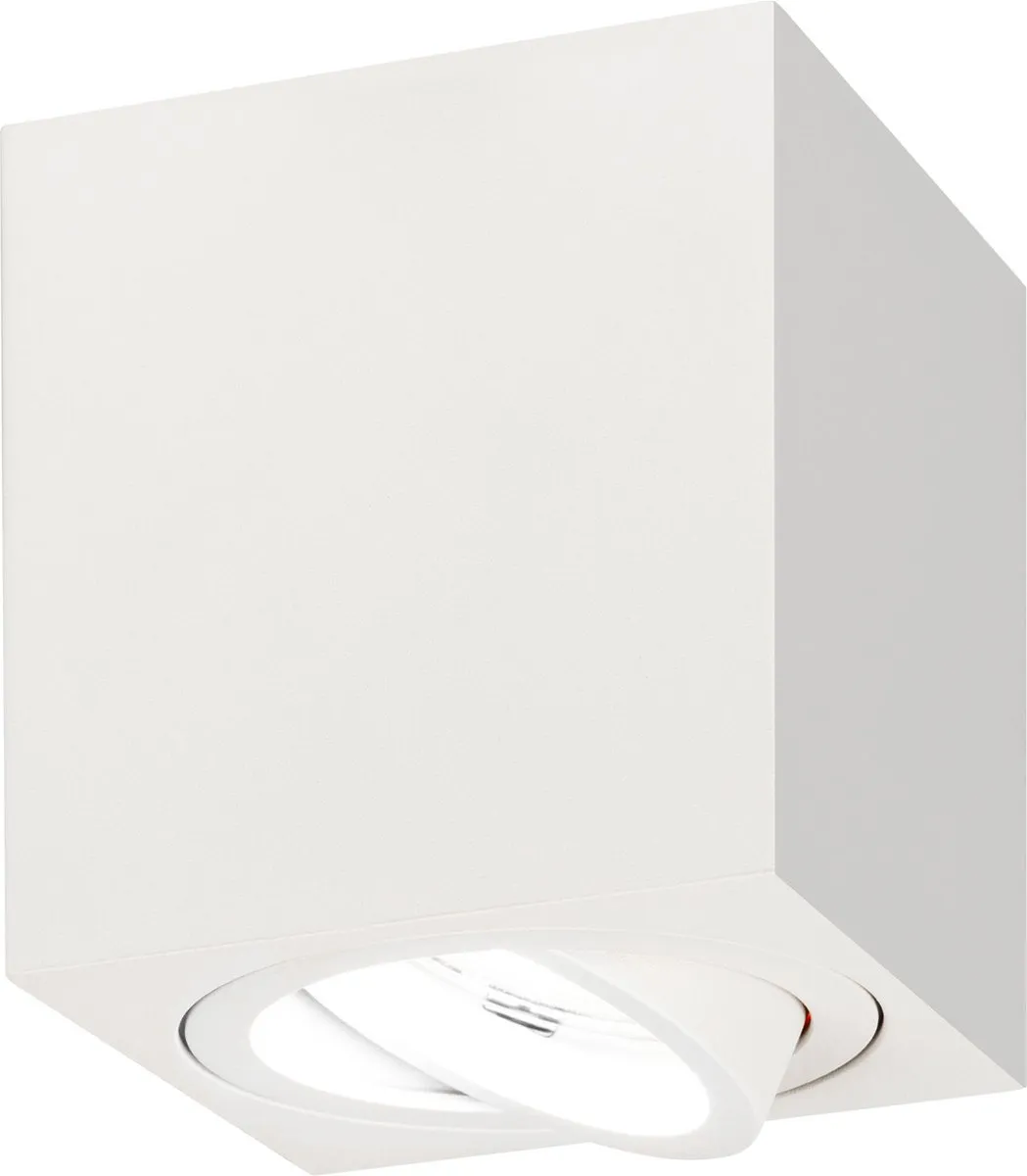 Ledvion LED Opbouwspot 3W 4000K