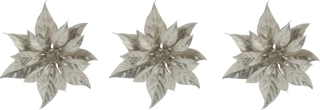 Decoratie bloem kerststerren