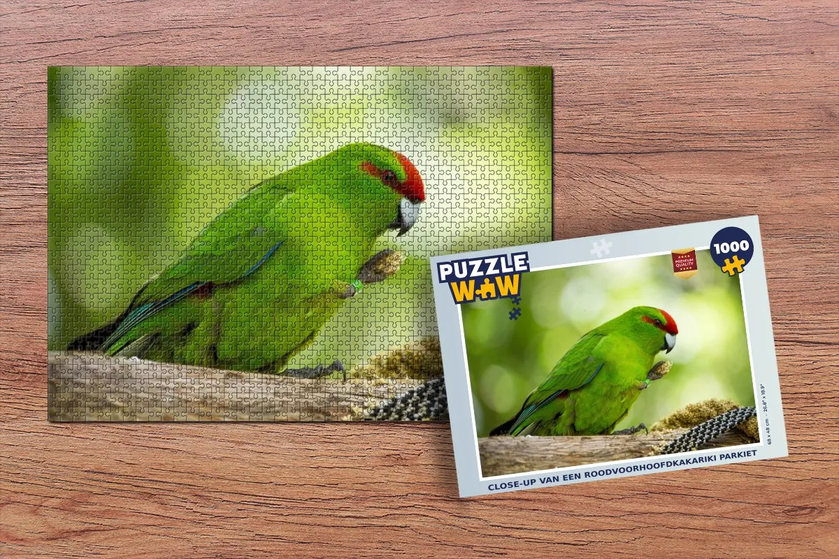PuzzleWow Roodvoorhoofdkakariki Legpuzzel 1000 Stuks - Multicolor
