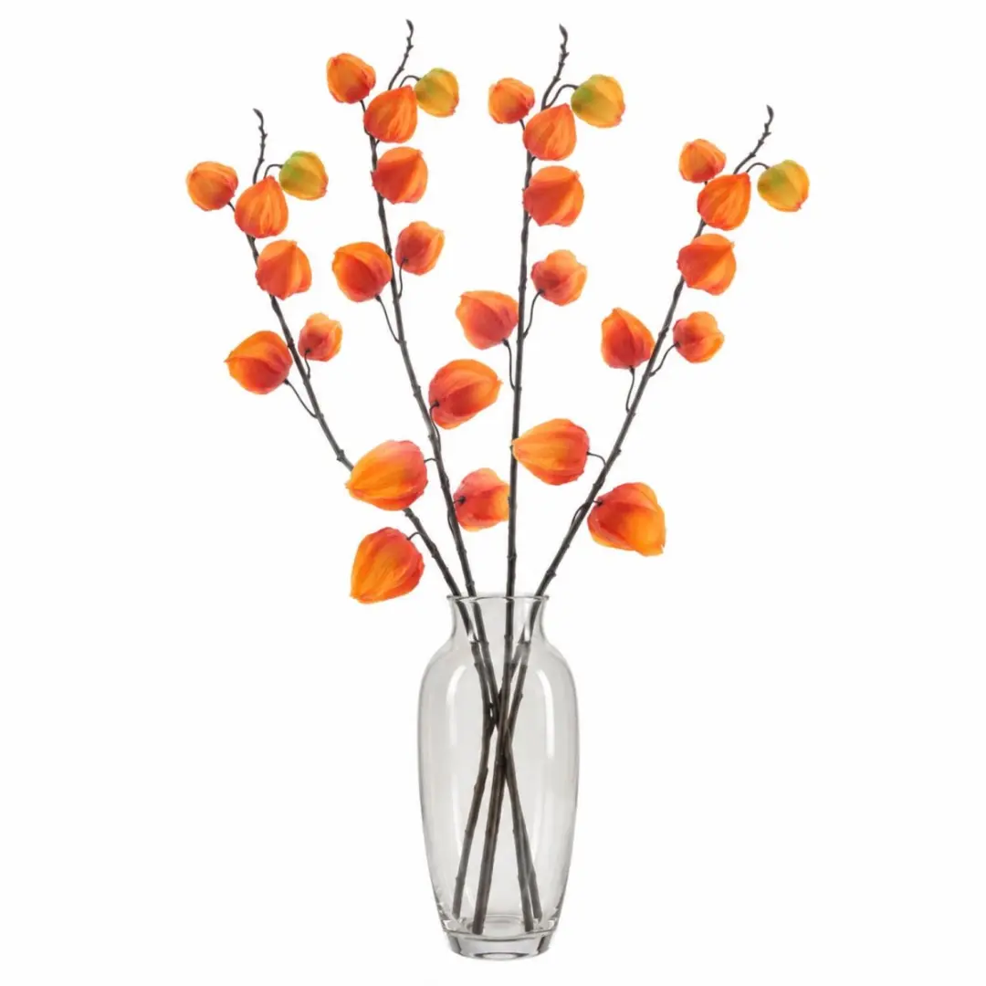 Bellatio Design Kunstbloem Lampionplant/physalis tak - 4x - 73 cm - oranje - zijde bloemen - Kunst herfst takken