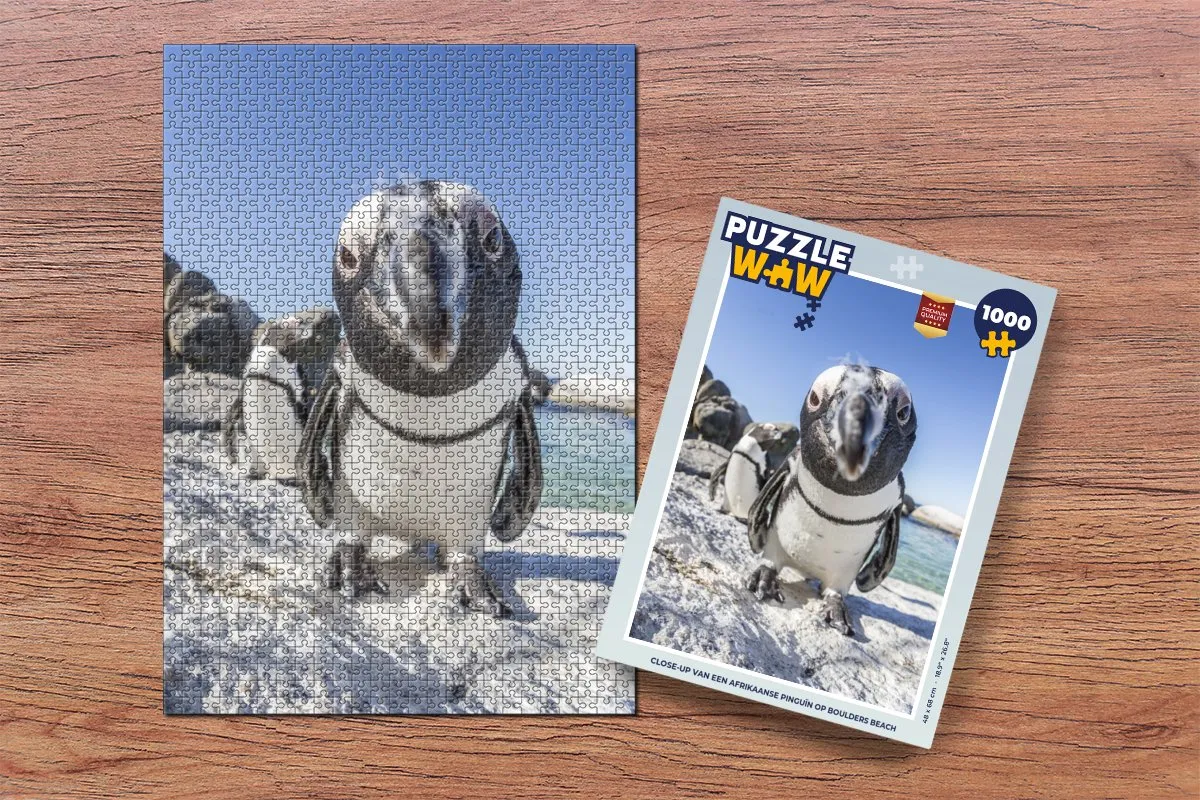 PuzzleWow Legpuzzel Afrikaanse Pinguïn 1000 Stuks - Multicolor