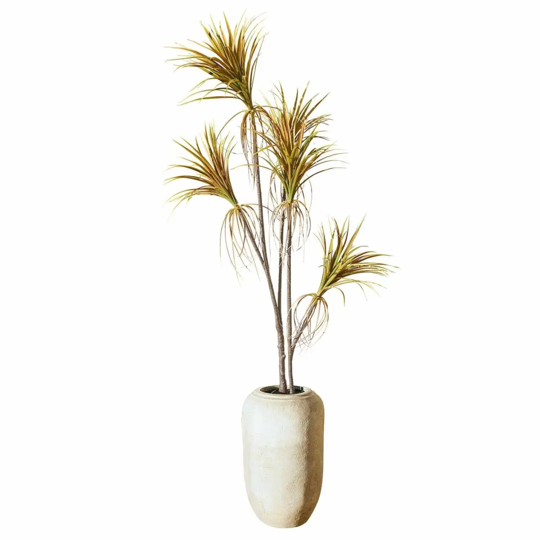 Loberon Ancerac Decoratieve Potplant