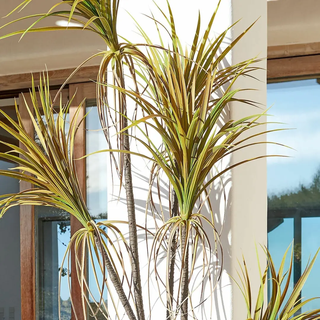 Loberon Ancerac Decoratieve Potplant - Bruin/Groen - afbeelding 2 van 4