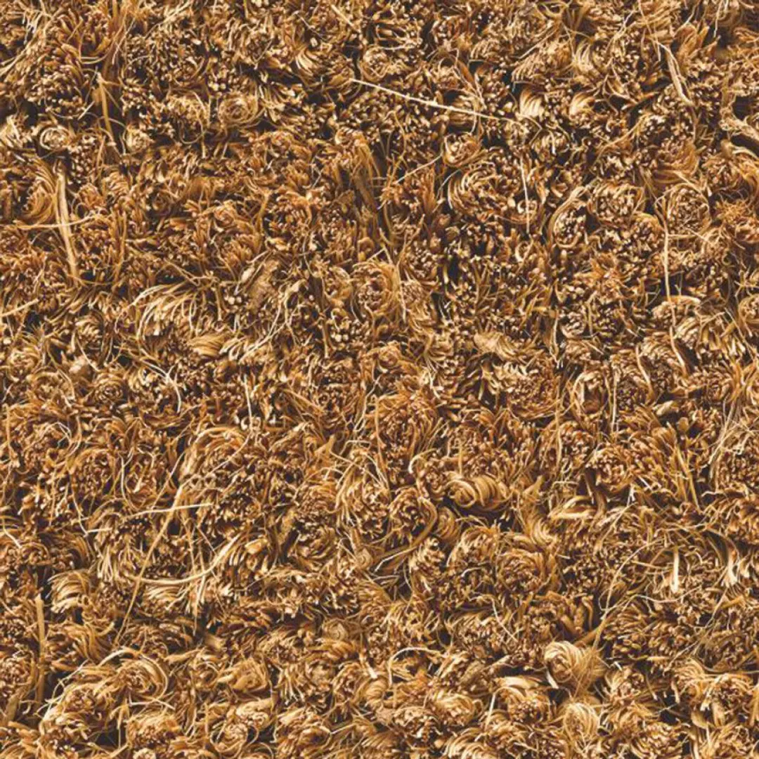 HAMAT Deurmat Kokos 40x60cm Naturel - afbeelding 2 van 3