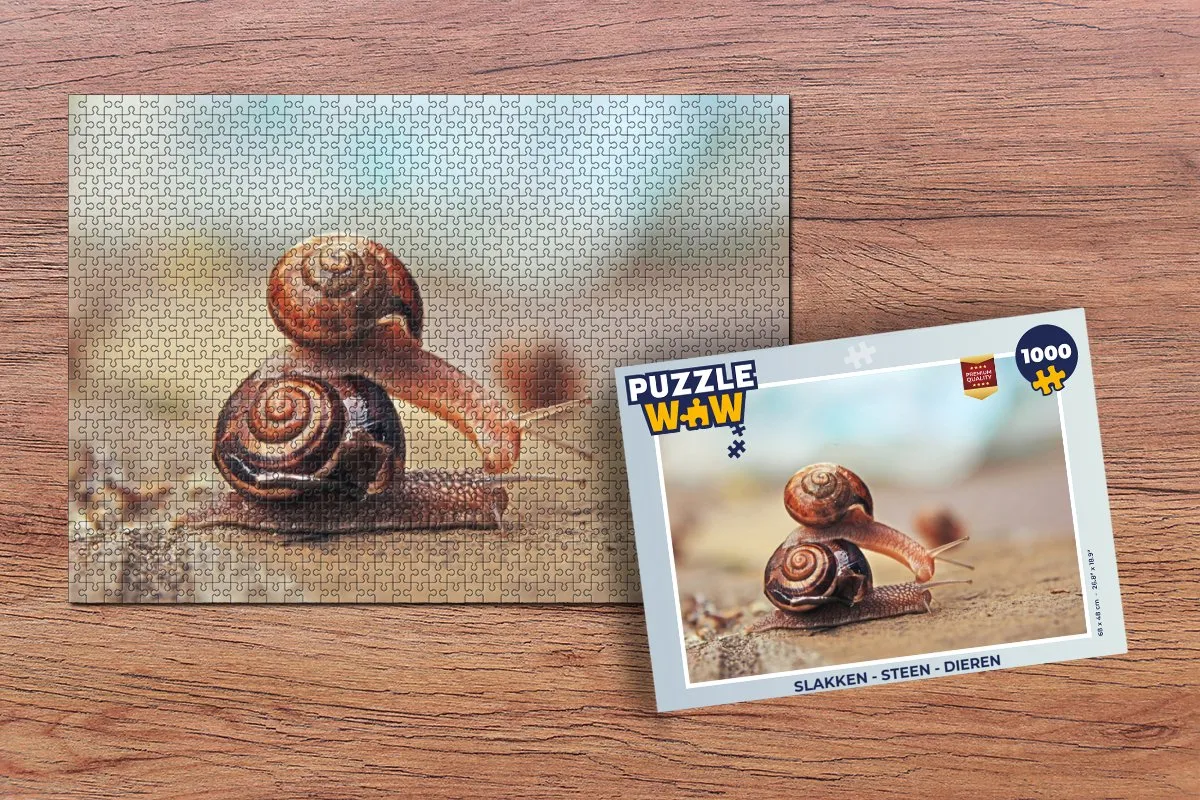 PuzzleWow Slakken Legpuzzel 1000 Stuks - Multicolor