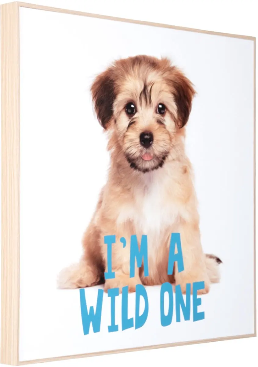 Present Time Wall Art Puppy I'm A Wild One 40x40cm - afbeelding 2 van 2