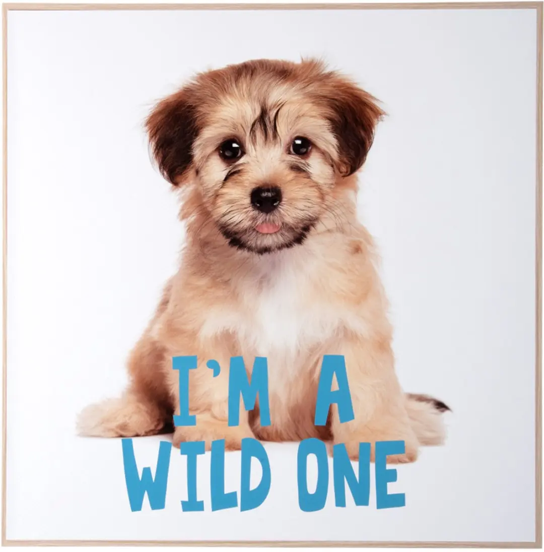 Present Time Wall Art Puppy I'm A Wild One 40x40cm
