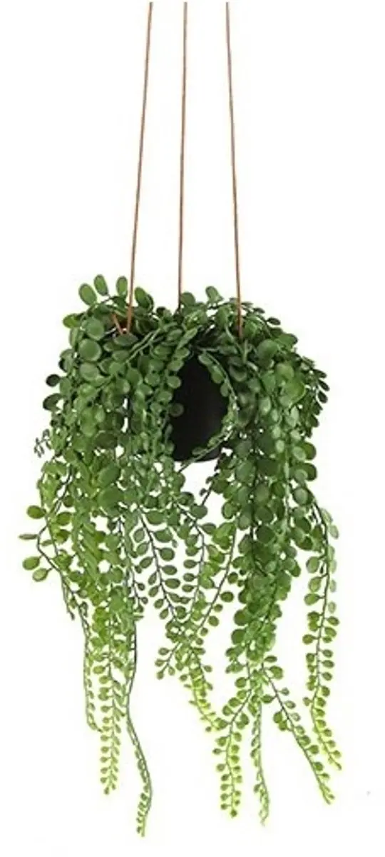 Kunstplant Peperomia groen-hoogte 45 cm