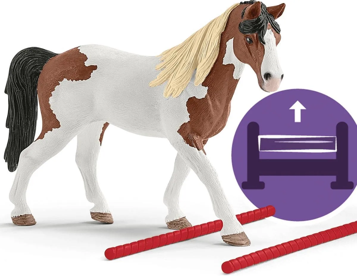 Schleich Horse Club Hannah's Western Rijset Speelfigurenset - 12-delig - Multicolor