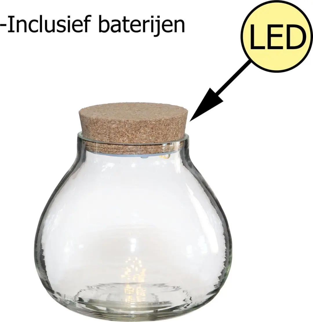 Ideas4seasons Pot/vaas van glas voor planten ecosysteem