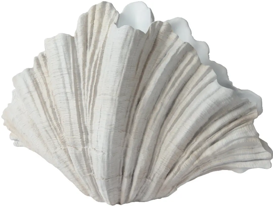 Decoris