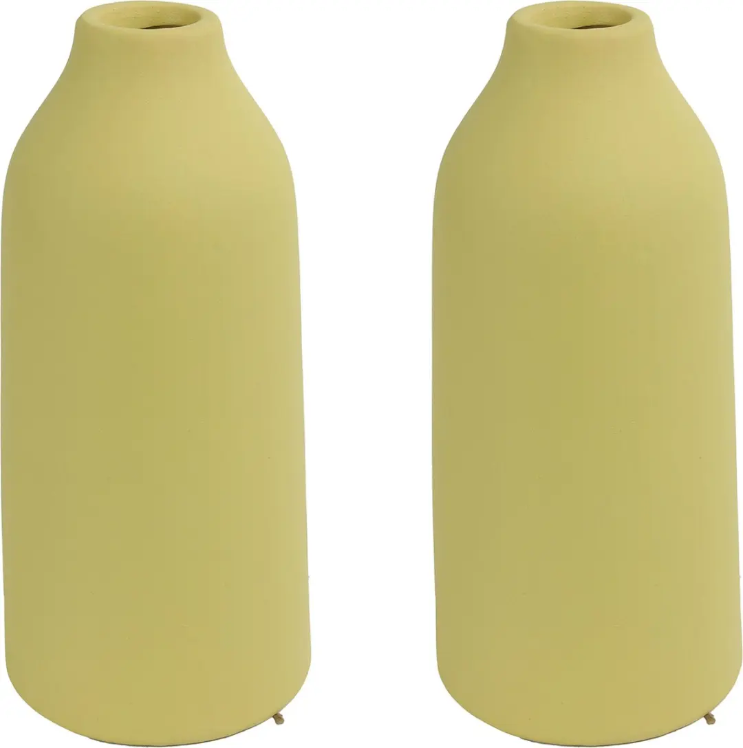 Countryfield bloemenvaas - 2x stuks - geel terracotta - D11 x H23 cm