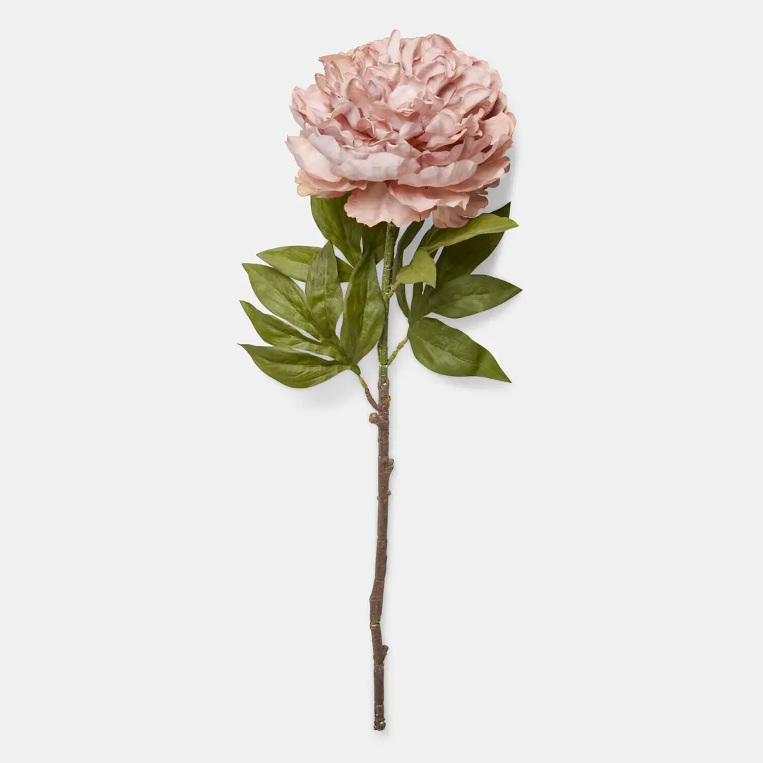 Loberon Kunstpioenroos Set van 3 Dahlyra Roze - afbeelding 5 van 5